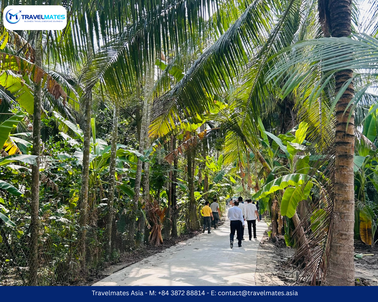Tree covered road in Nhi Hoa Travelmates (1280 x 1024 px)