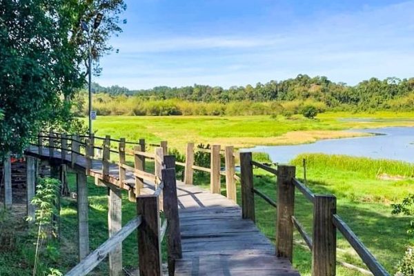 Discover Cat Tien National Park with Travelmates' sustainable trekking and wildlife tour guide. Experience eco-friendly cultural encounters in Vietnam today.